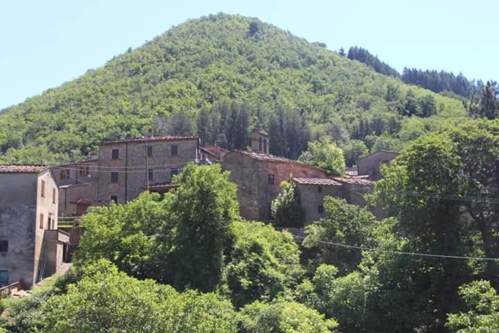 Holiday home Il Moraiolo - Idromassaggio & Sauna Con Vista! *