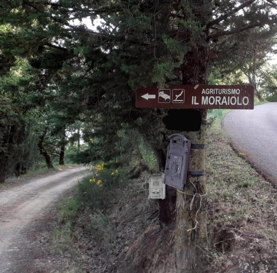 Il Moraiolo - Idromassaggio & Sauna Con Vista! Holiday home Loro Ciuffenna